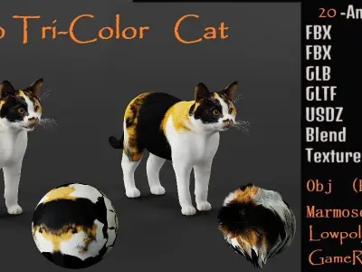 Calico Tricolor Cat Low-poly 3D model