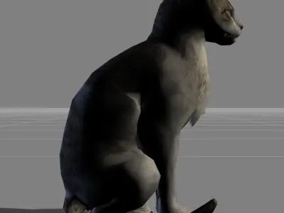 Cat animal Low-poly 3D model