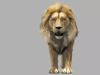 Lion animation 3D model