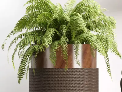 Decorative Set 1  3D model