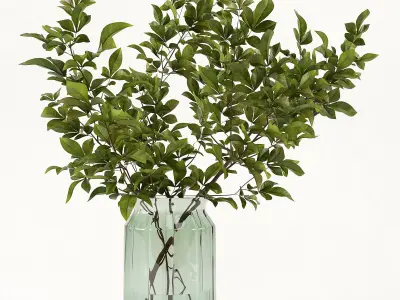 Branches in a vase 002 3D model