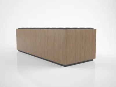 Milo Baughman Rosewood Case Sofa 3D model