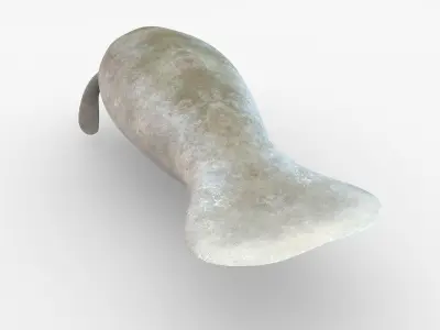 West Indian manatee Low-poly 3D model
