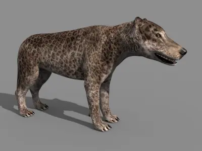 Andrewsarchus - 3d animated model 3D model