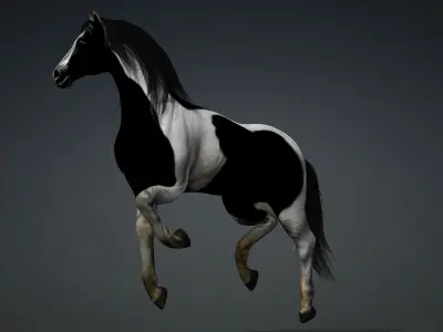 Horse-B1 3D model