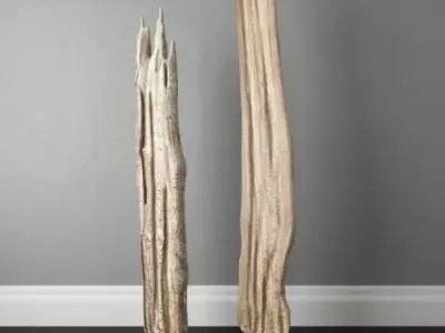 Natura Tall Root Wood 3D model