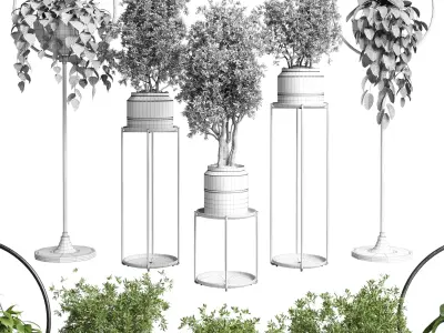 pot plant standing and hanging pot - wall plant set 386 Low-poly 3D model