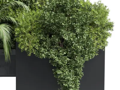Box Plants on Stand collection of outdoor plants 108 3D model