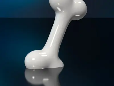 Decorative Dog Bone STL 3D Printing Model High-Polygon Free 3D print model