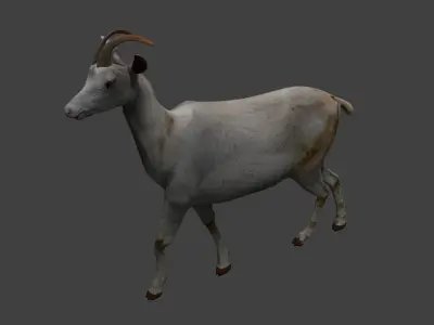 Saanen goat Low-poly 3D model