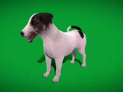 Sweet Jack Russell Terrier Dog Low-poly 3D model
