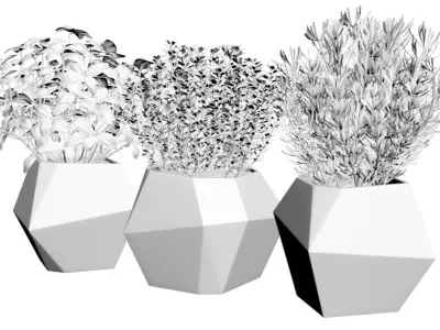 Pots with plants 3D model
