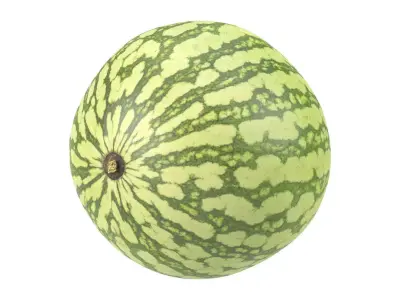 Photorealistic Watermelon 3D Scan 3D model