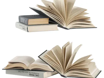 opened books collection 3D model