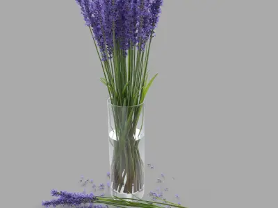 The bouquet of lavender in a vase 3D model