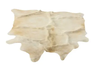 Animal skin rug 18 3D model