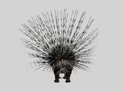 Porcupine 3D model