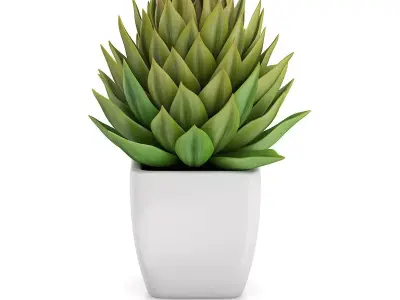 Small Plant in White Pot 1 3D model