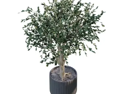 plant in vase set 898 3D model