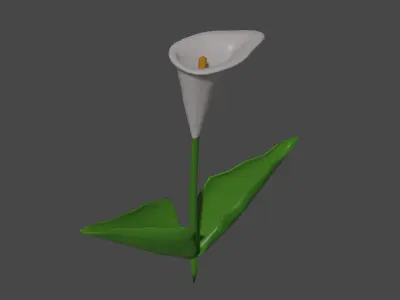 Calla Lily Flower Low-poly 3D model