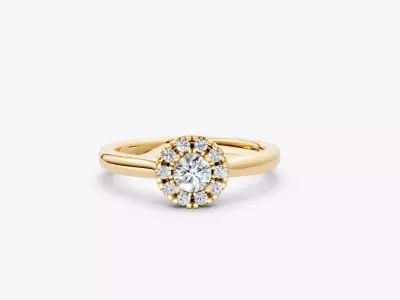 ZDR03-20CT Halo round diamond engagement ring 20ct  3D print model
