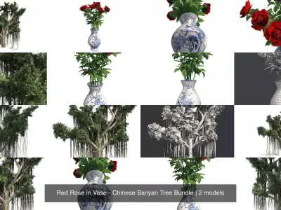 Red Rose in Vase - Chinese Banyan Tree Bundle 3D Model Collection