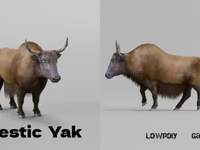 Domestic Yak Animals Low-poly 3D model