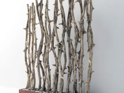 Branch old tree fundament pebble n1 3D model