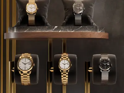 Luxury Watch Display 04 3D model