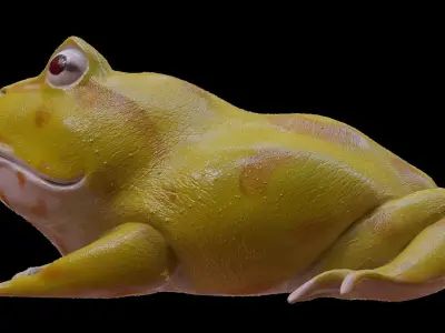 Frog Yellow 3D model