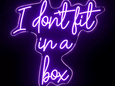 I do not fit in a box Neon Sign 3D model