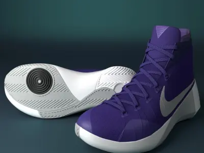 Nike Hyperdunk 2015 3D model