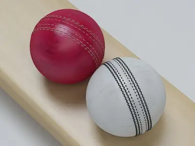 Cricket Bat and Ball 3D model