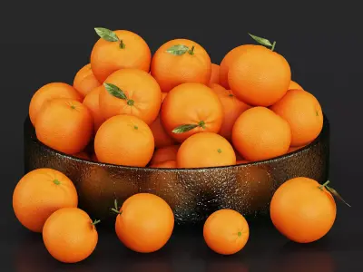 Orange Dish 3D model