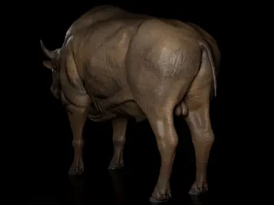 Bison Low-poly 3D model purchase