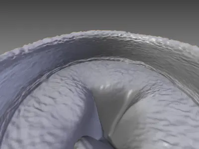 Flower Pot full with soil Free low-poly 3D model