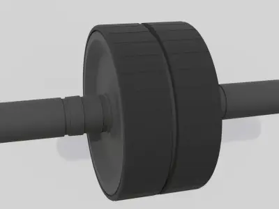 Double Exercise Wheel 3D model