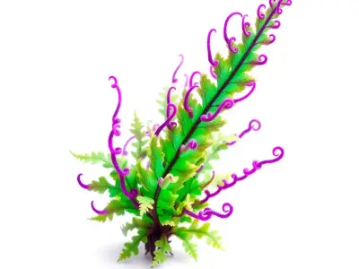 Vivid Fern Flora model pack Low-poly 3D model