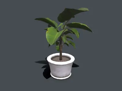Indoor Plant Low-poly PBR Low-poly 3D model