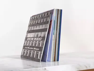 A few vinyls 3D model