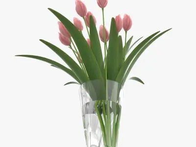 Flower Tulip in Vase 3D model