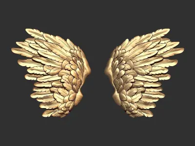 Wings 3D print model