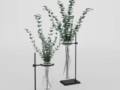 Eucalyptus In Laboratorium Jar 3D model