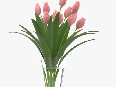 Flower Tulip in Vase 3D model