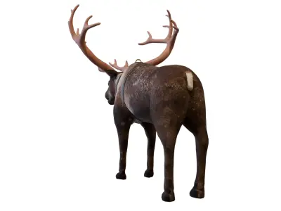 Reindeer Low-poly 3D model