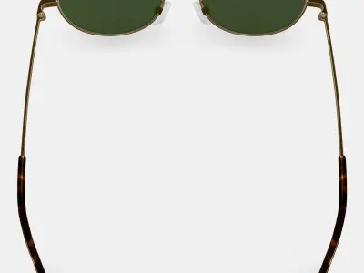 Satler Sunglasses in Polished Gold 3D model