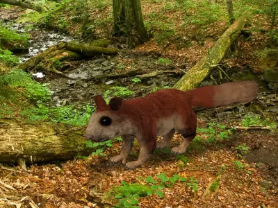 Giant Squirrel 3D model