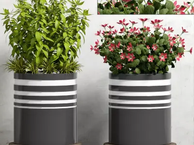 Decorative plant set-46 3D model
