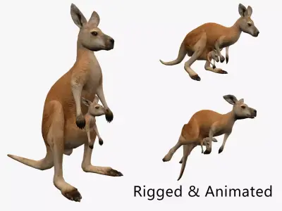 animated kangaroo with baby Low-poly 3D model