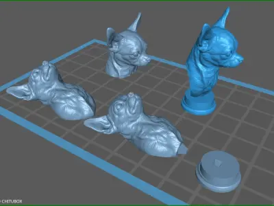 Chihuahua bust 3D print model